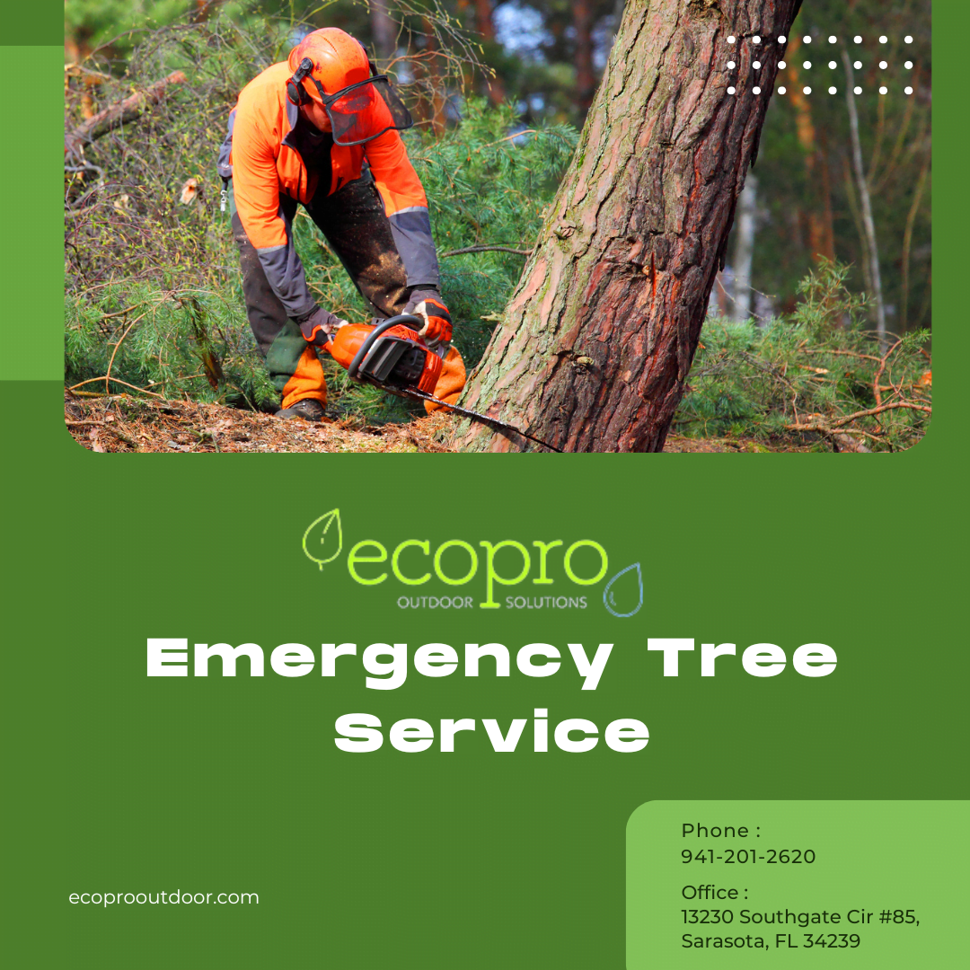 24/7 emergency tree sarasota
